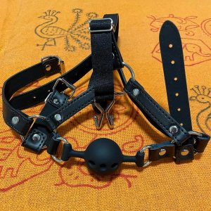 ボールギャグと鼻フックで顔面を淫らに歪ませる