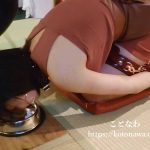 リーベセーレ使用例