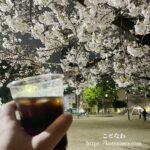 夜桜と共にいただくCokeは最高だぜ